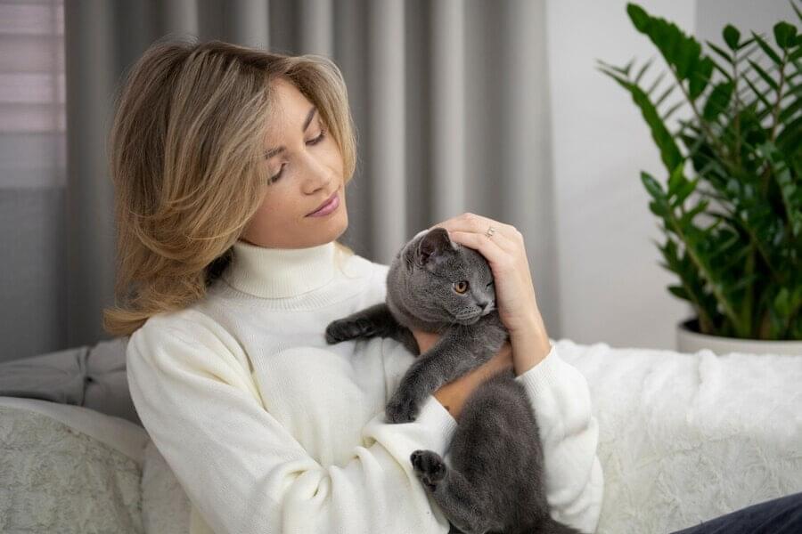 Cat owners