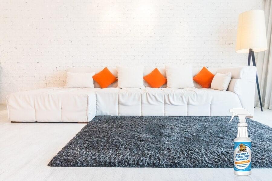 carpet and rugs