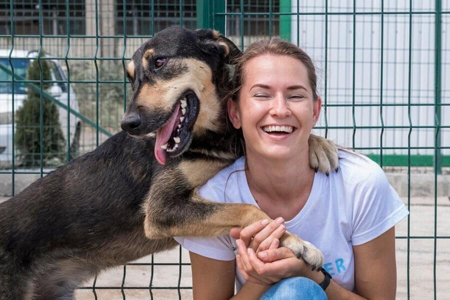 Animal rescues