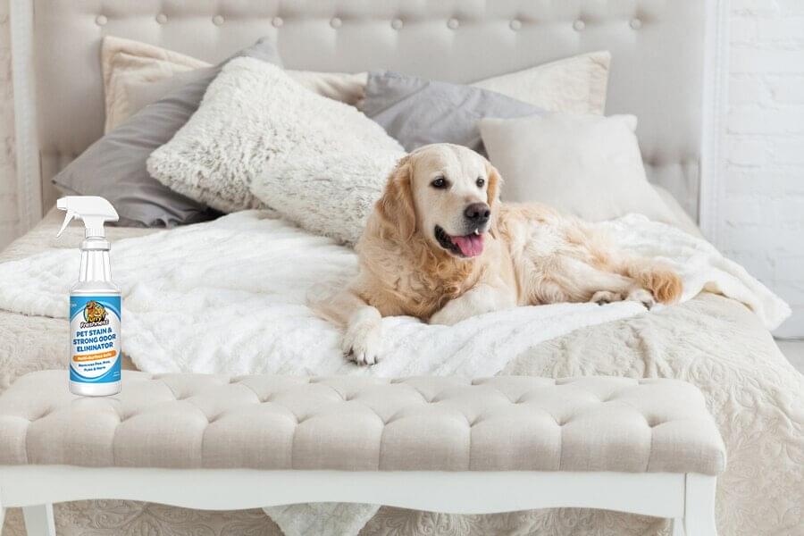 Mattresses