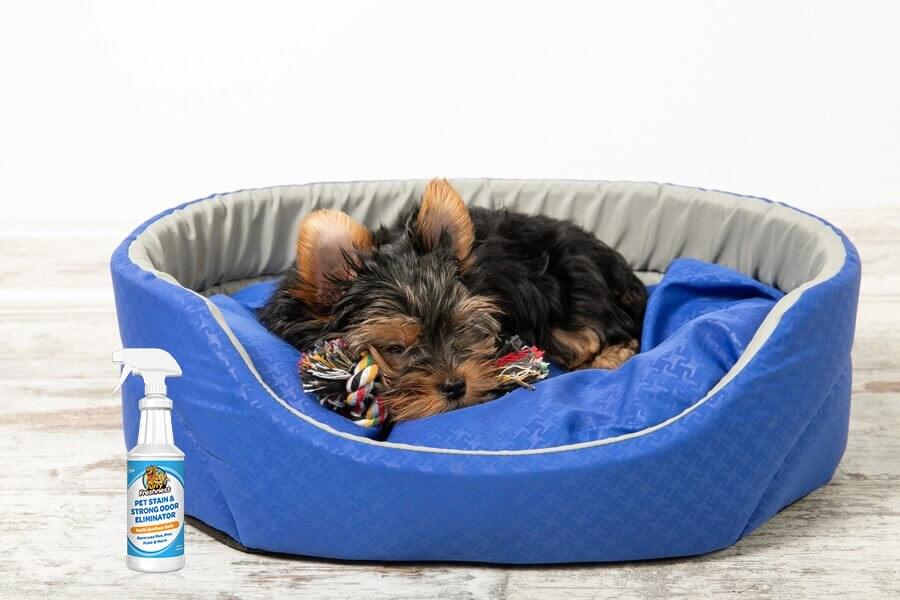 pet bedding